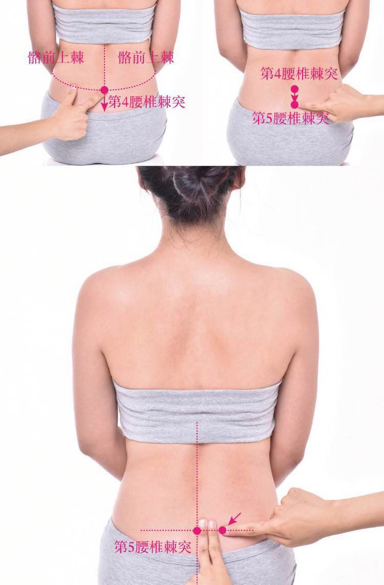 关元俞的证治纲要与定位图解