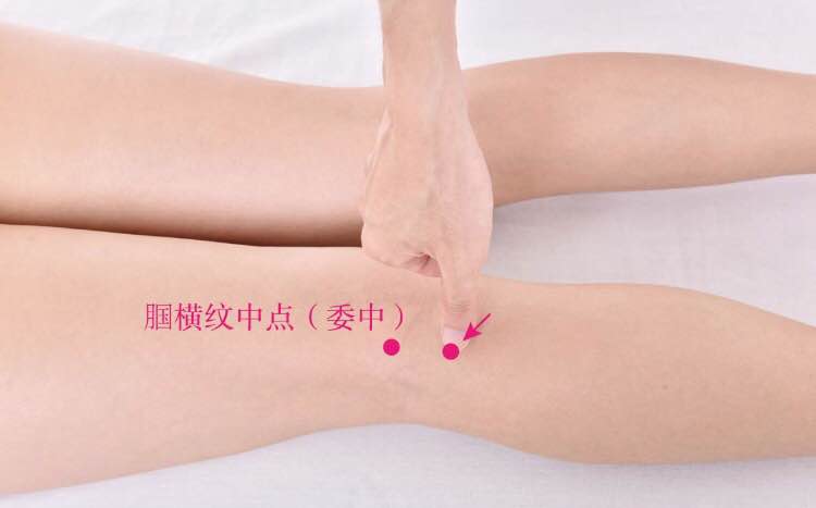 合阳的证治纲要与定位图解