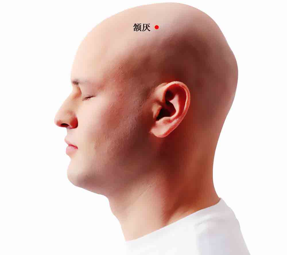 颔厌的证治纲要与定位图解