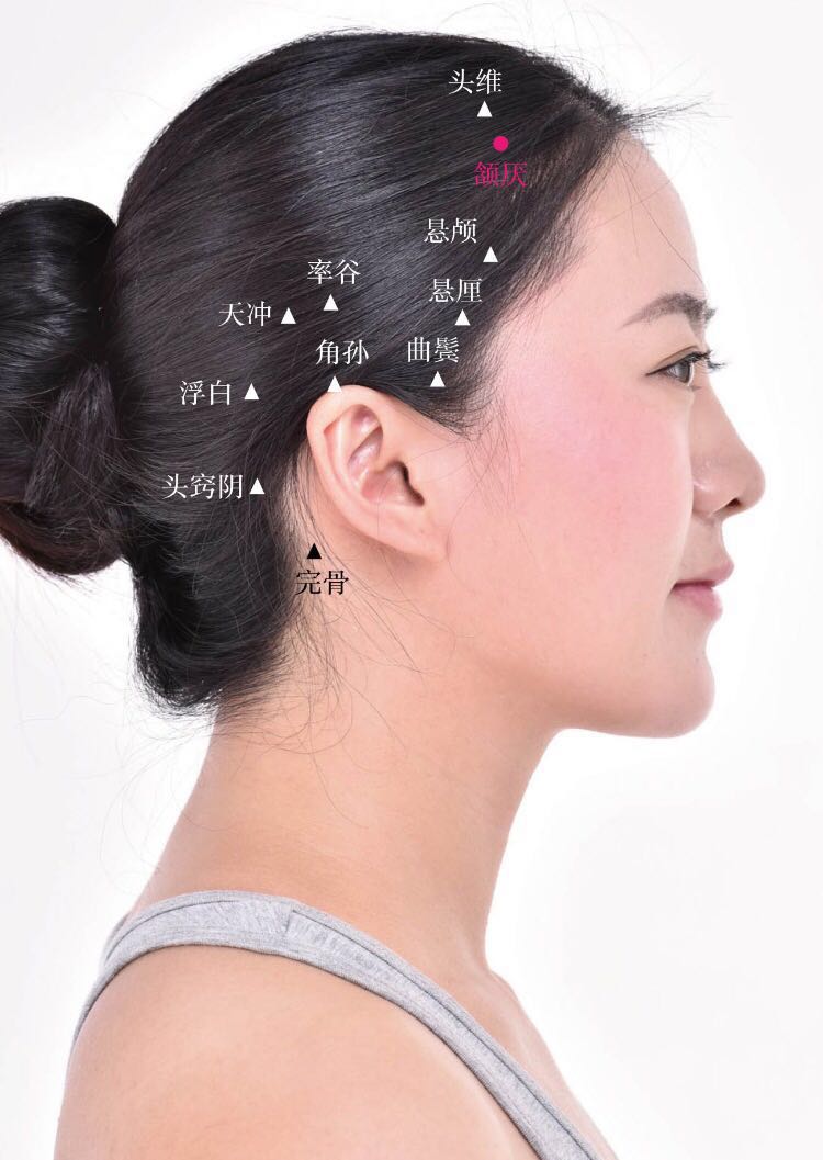 颔厌的证治纲要与定位图解