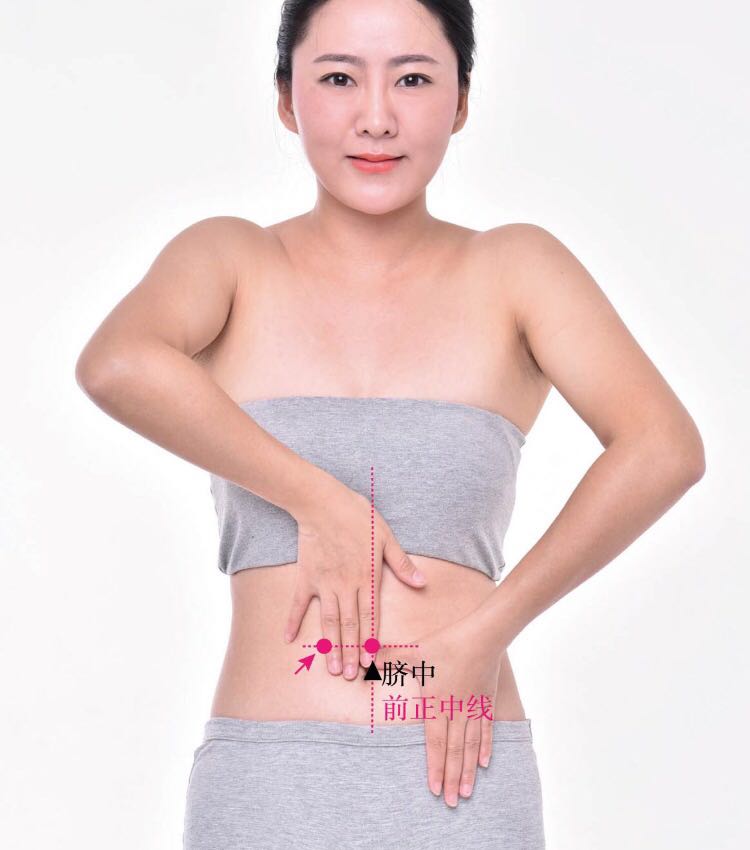 滑肉门的证治纲要与定位图解