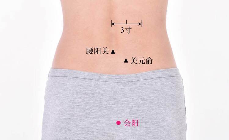 会阳的证治纲要与定位图解