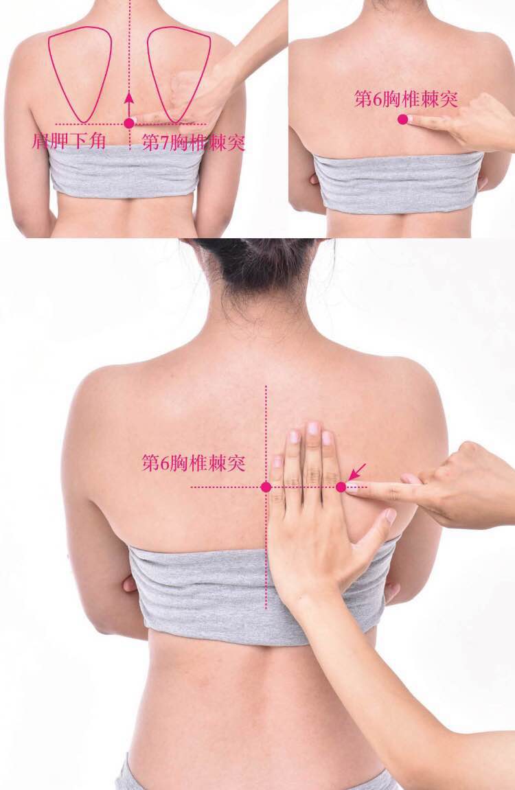 譩譆的证治纲要与定位图解