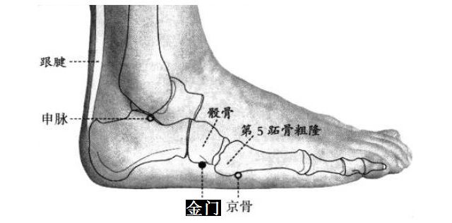金门的证治纲要与定位图解