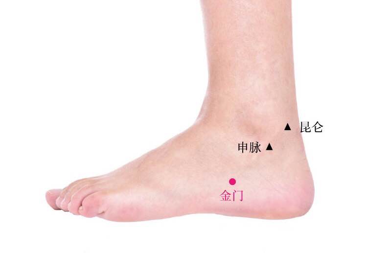 金门的证治纲要与定位图解