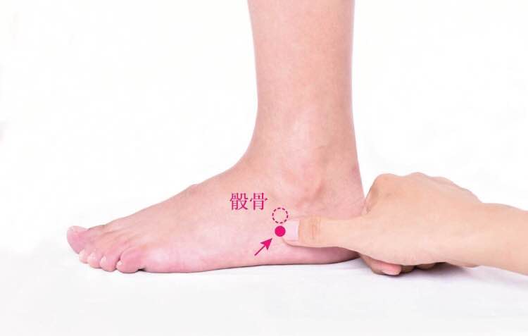 金门的证治纲要与定位图解