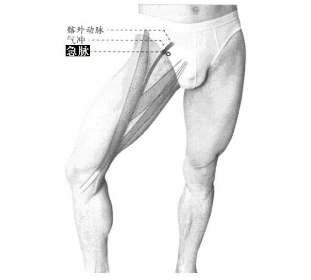 急脉的证治纲要与定位图解