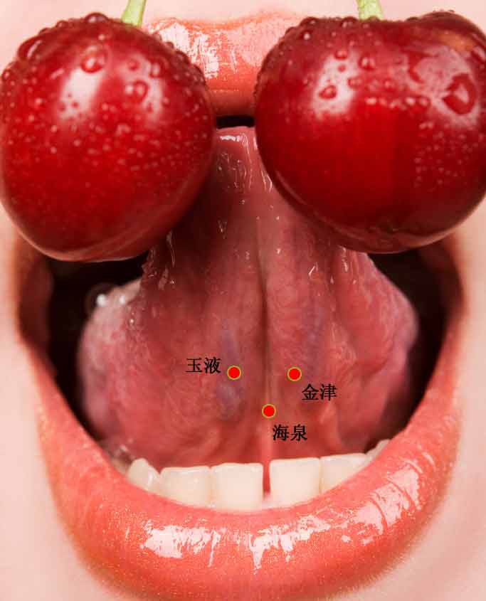 金津的证治纲要与定位图解