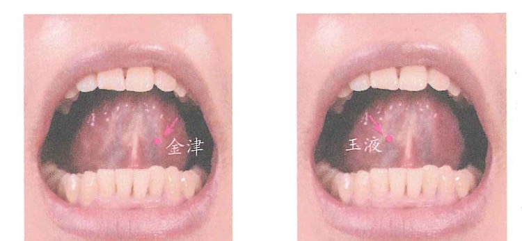 金津的证治纲要与定位图解