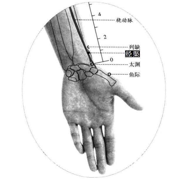 经渠的证治纲要与定位图解