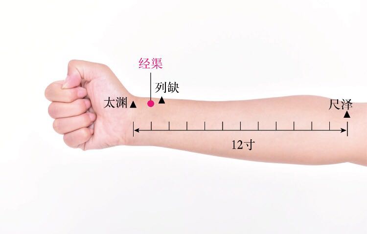 经渠的证治纲要与定位图解