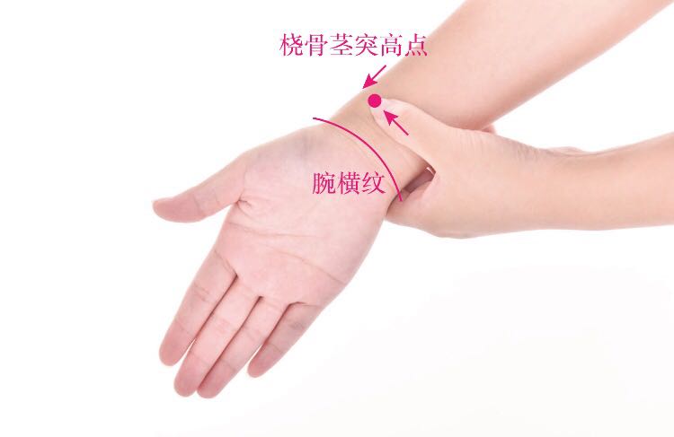 经渠的证治纲要与定位图解