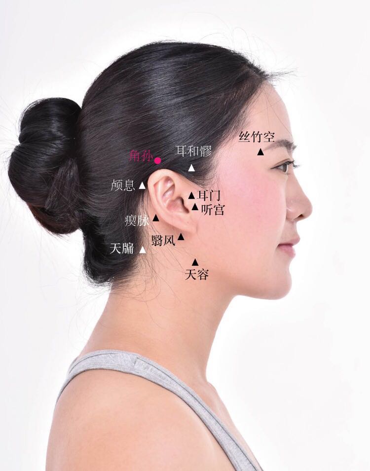 角孙的证治纲要与定位图解