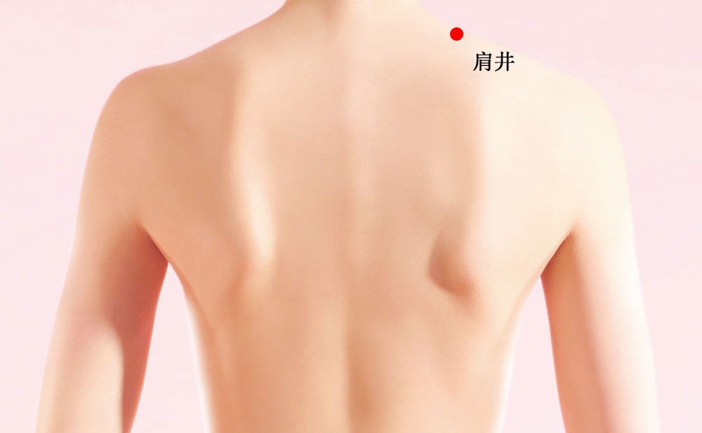 肩井的证治纲要与定位图解