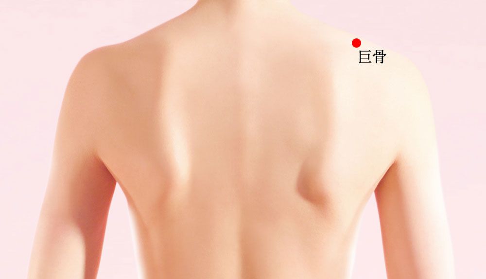 巨骨的证治纲要与定位图解