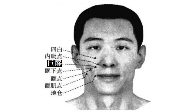 巨髎的证治纲要与定位图解