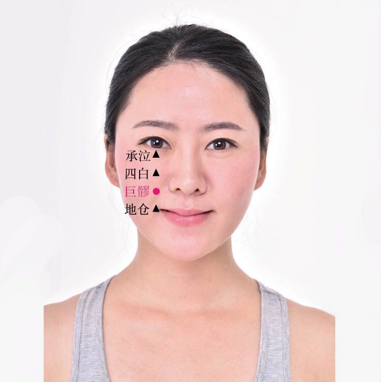 巨髎的证治纲要与定位图解