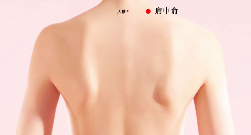 肩中俞的证治纲要与定位图解
