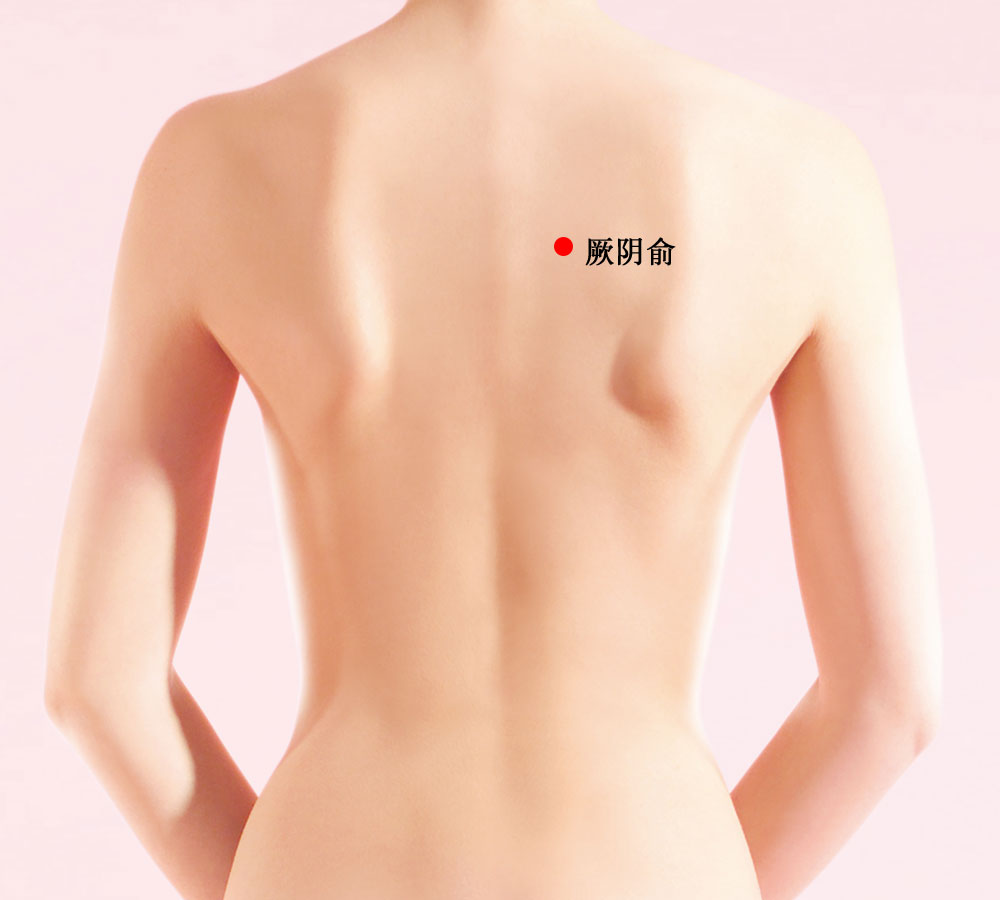 厥阴俞的证治纲要与定位图解