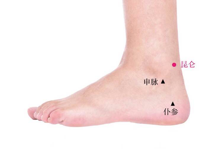 昆仑的证治纲要与定位图解