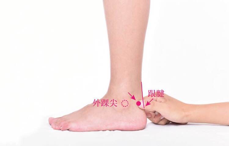 昆仑的证治纲要与定位图解