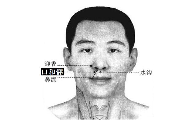 口禾髎的证治纲要与定位图解