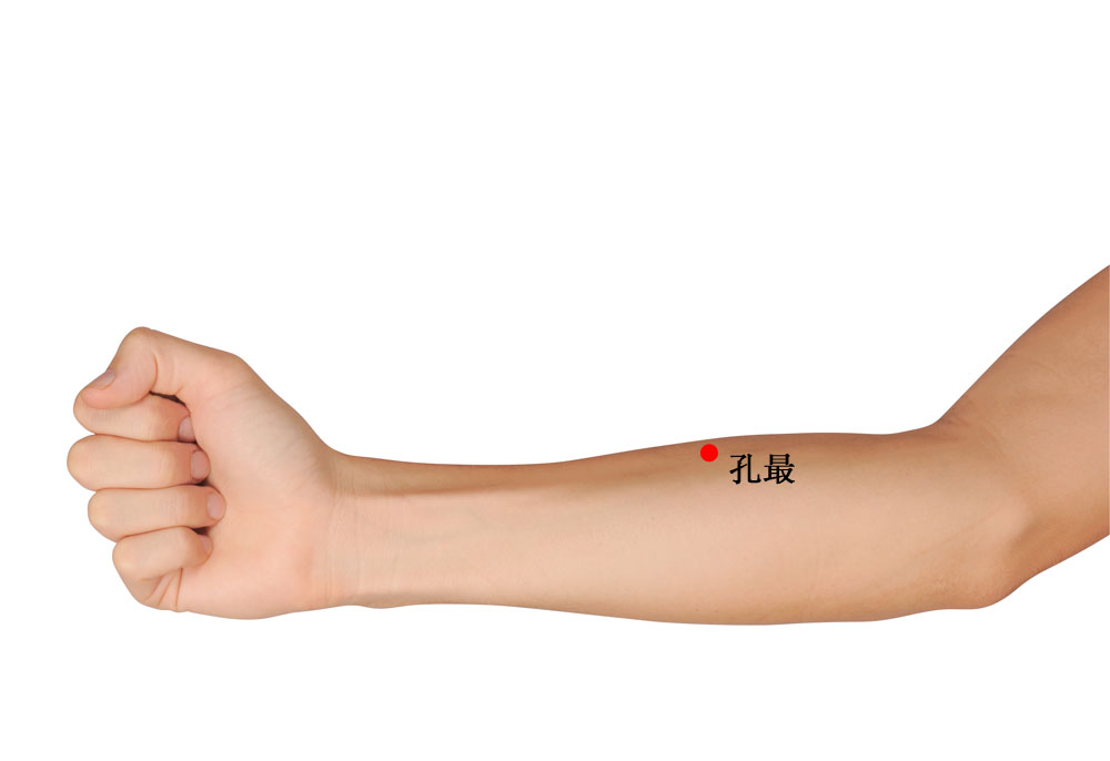 孔最的证治纲要与定位图解