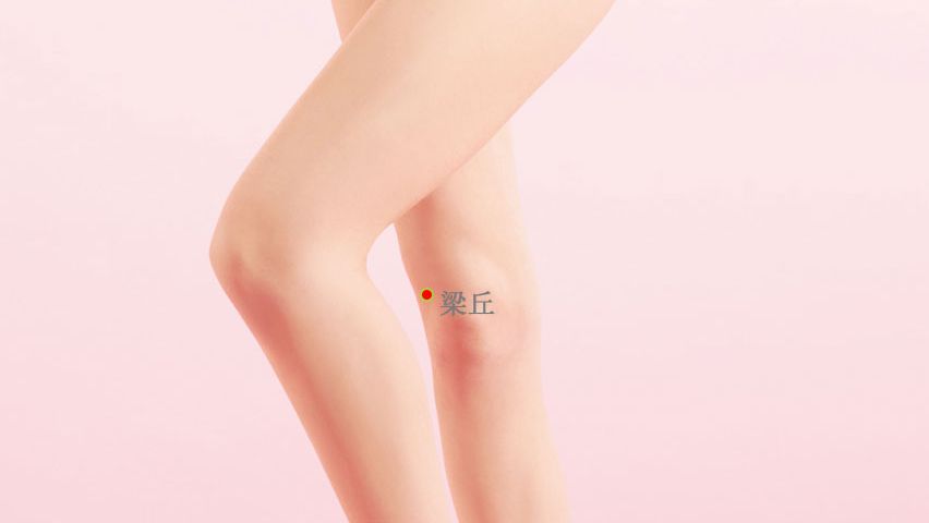 梁丘的证治纲要与定位图解