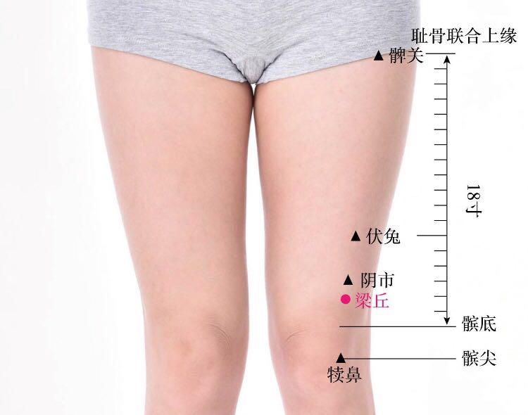 梁丘的证治纲要与定位图解