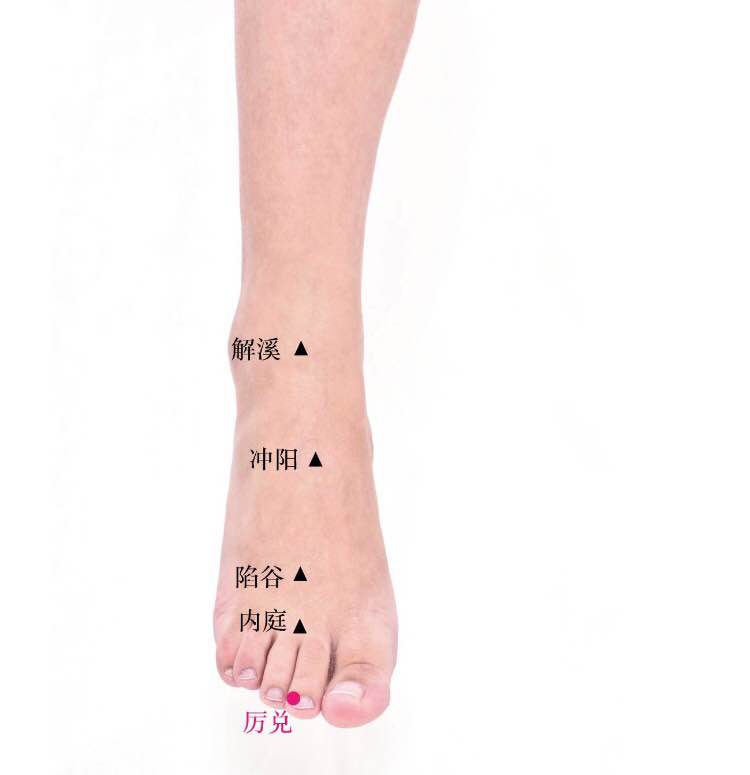 厉兑的证治纲要与定位图解