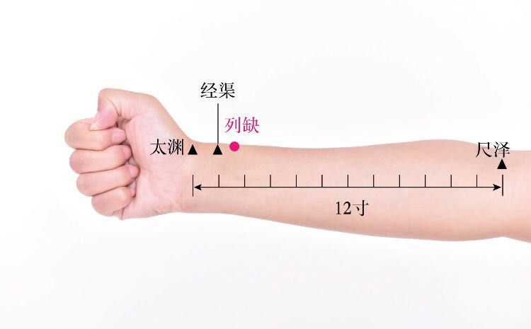 列缺的证治纲要与定位图解