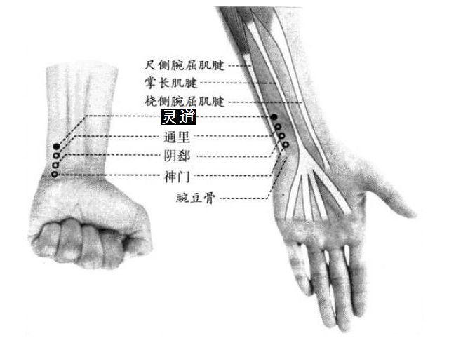 灵道的证治纲要与定位图解
