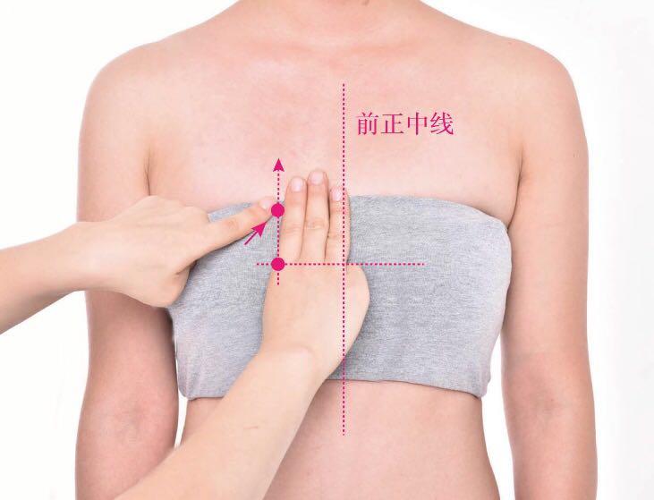 灵墟的证治纲要与定位图解