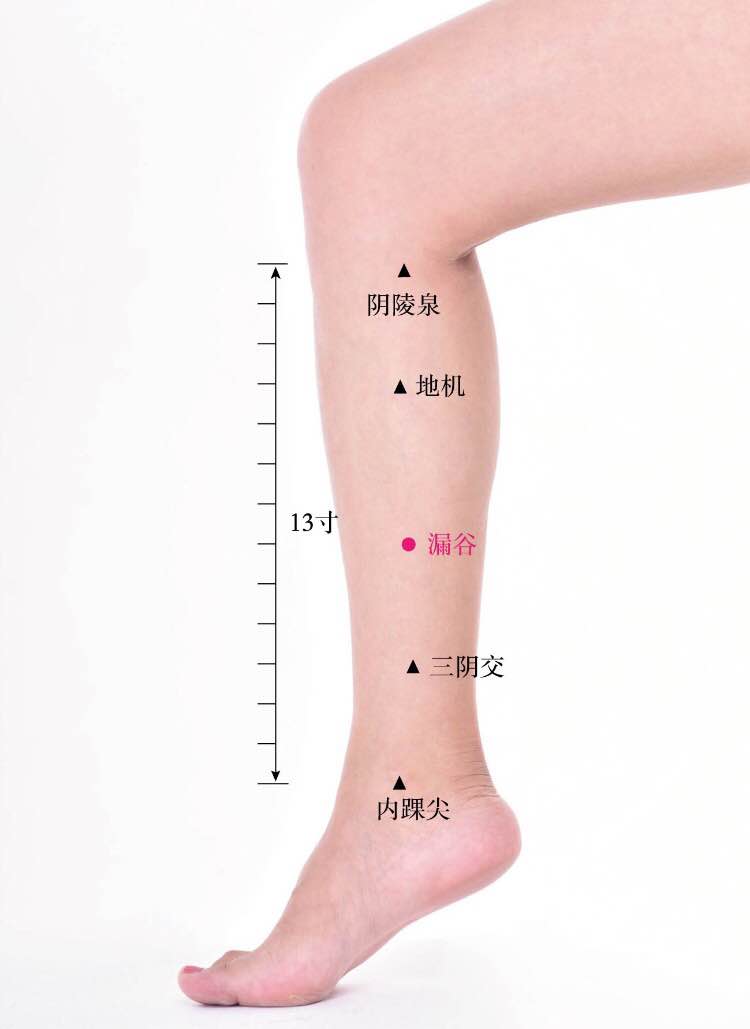 漏谷的证治纲要与定位图解