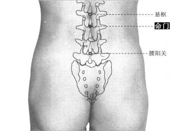 阳虚体质的日常调理