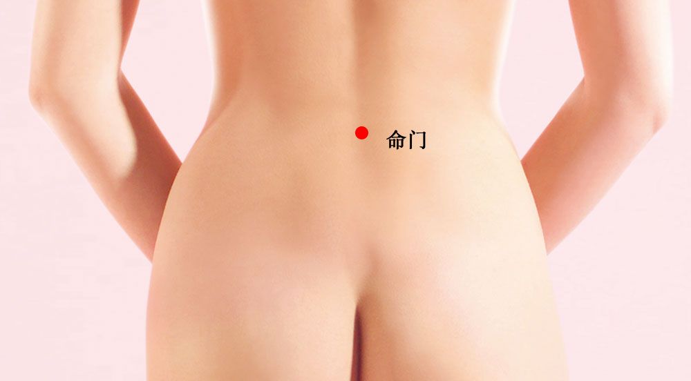 命门的证治纲要与定位图解