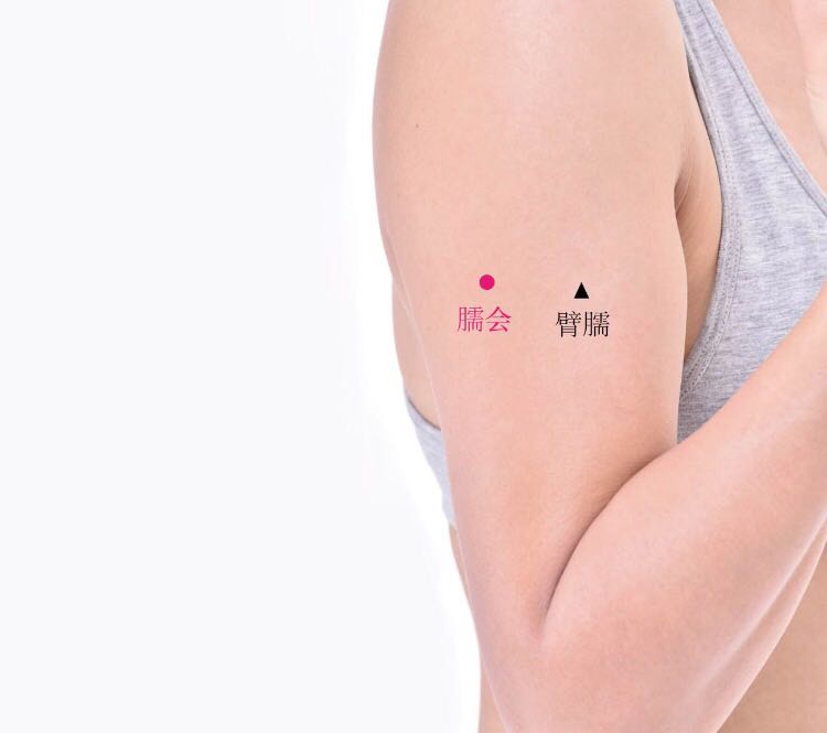 臑会的证治纲要与定位图解