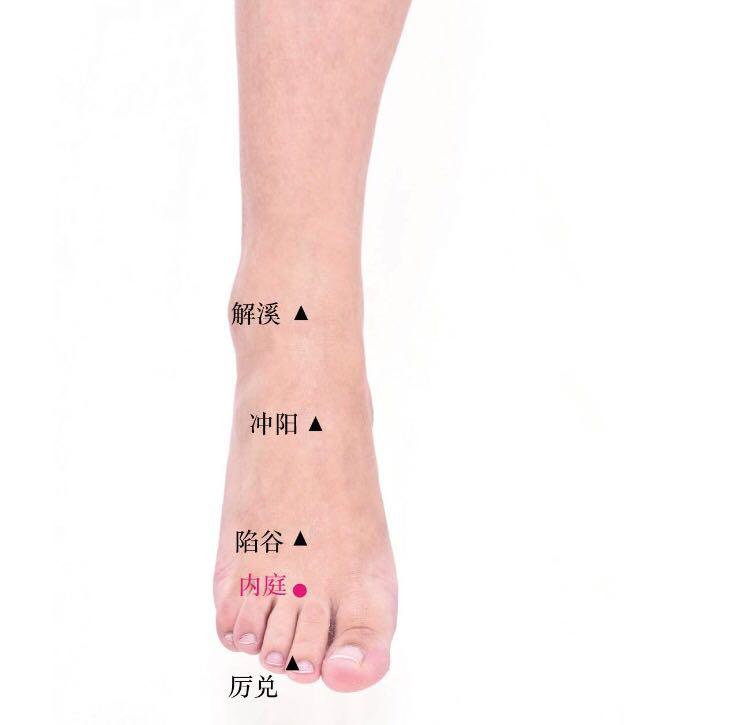 内庭的证治纲要与定位图解
