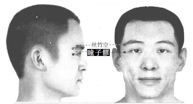 瞳子髎的证治纲要与定位图解