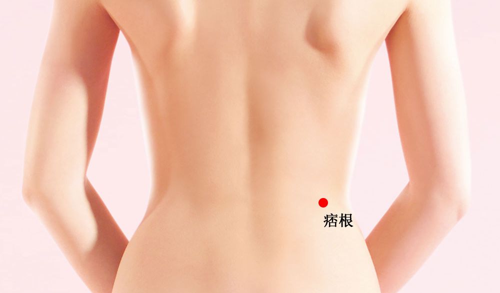 痞根的证治纲要与定位图解