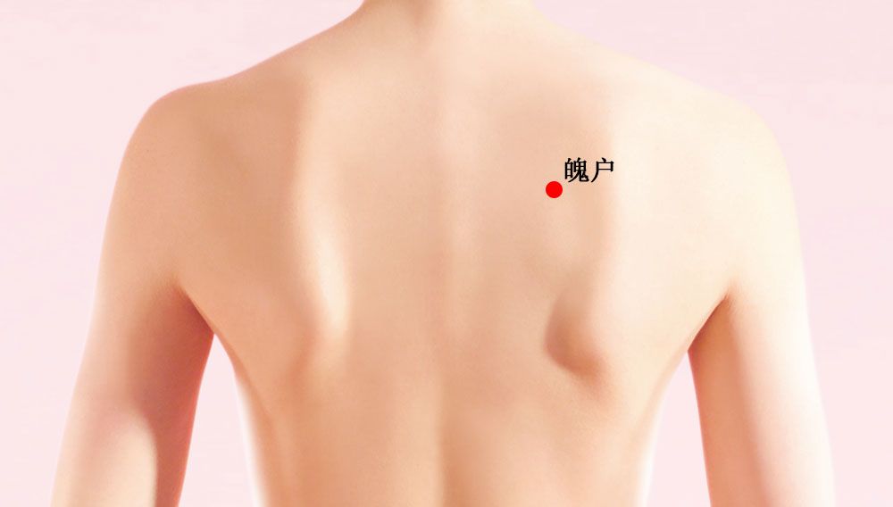 魄户的证治纲要与定位图解