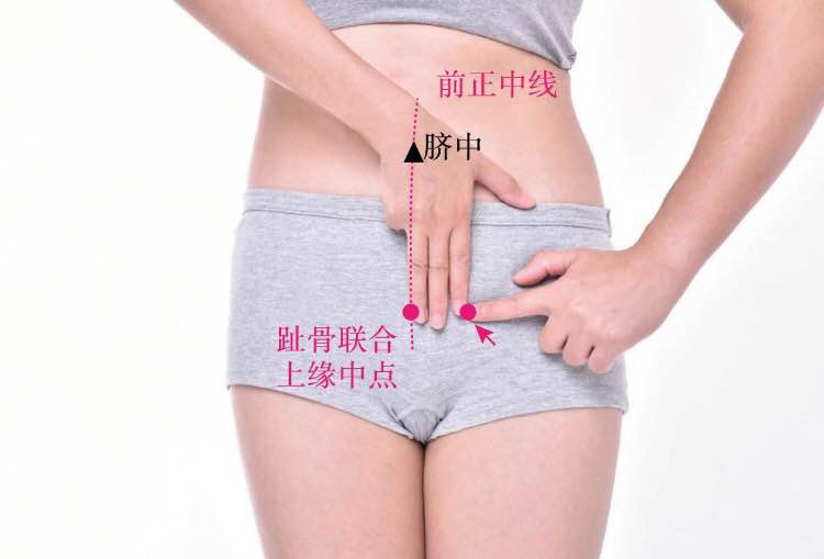 气冲的证治纲要与定位图解