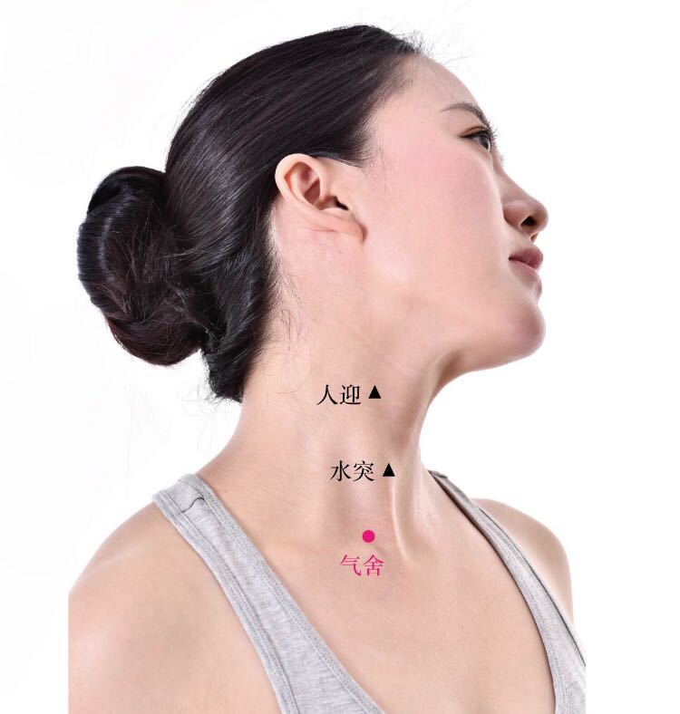 气舍的证治纲要与定位图解