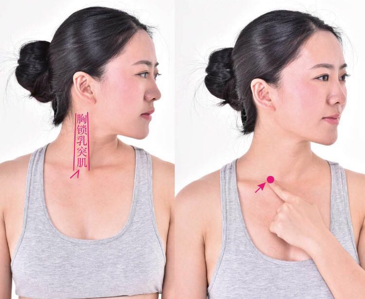 气舍的证治纲要与定位图解