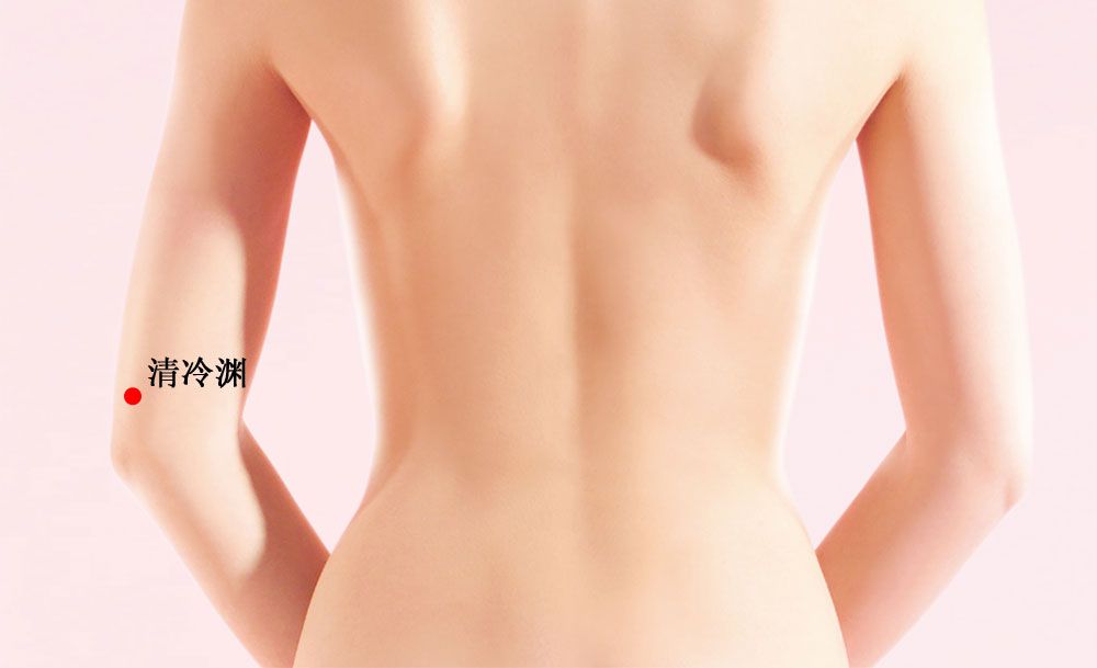 清泠渊的证治纲要与定位图解