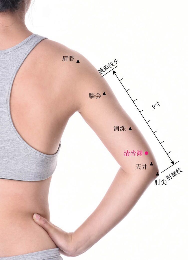 清泠渊的证治纲要与定位图解