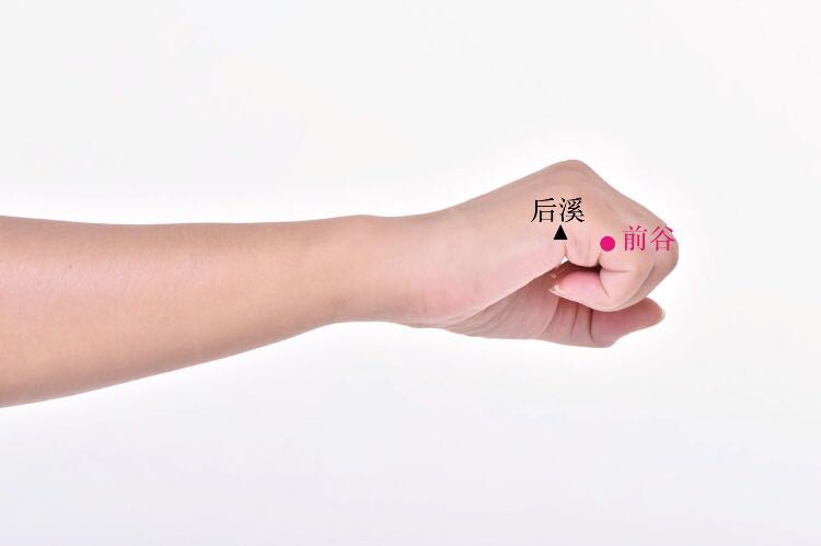 前谷的证治纲要与定位图解