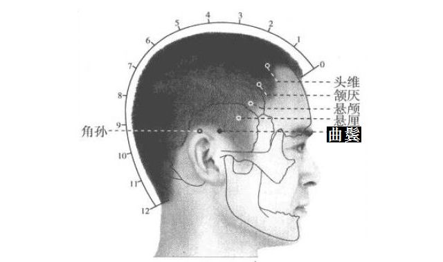 曲鬓的证治纲要与定位图解