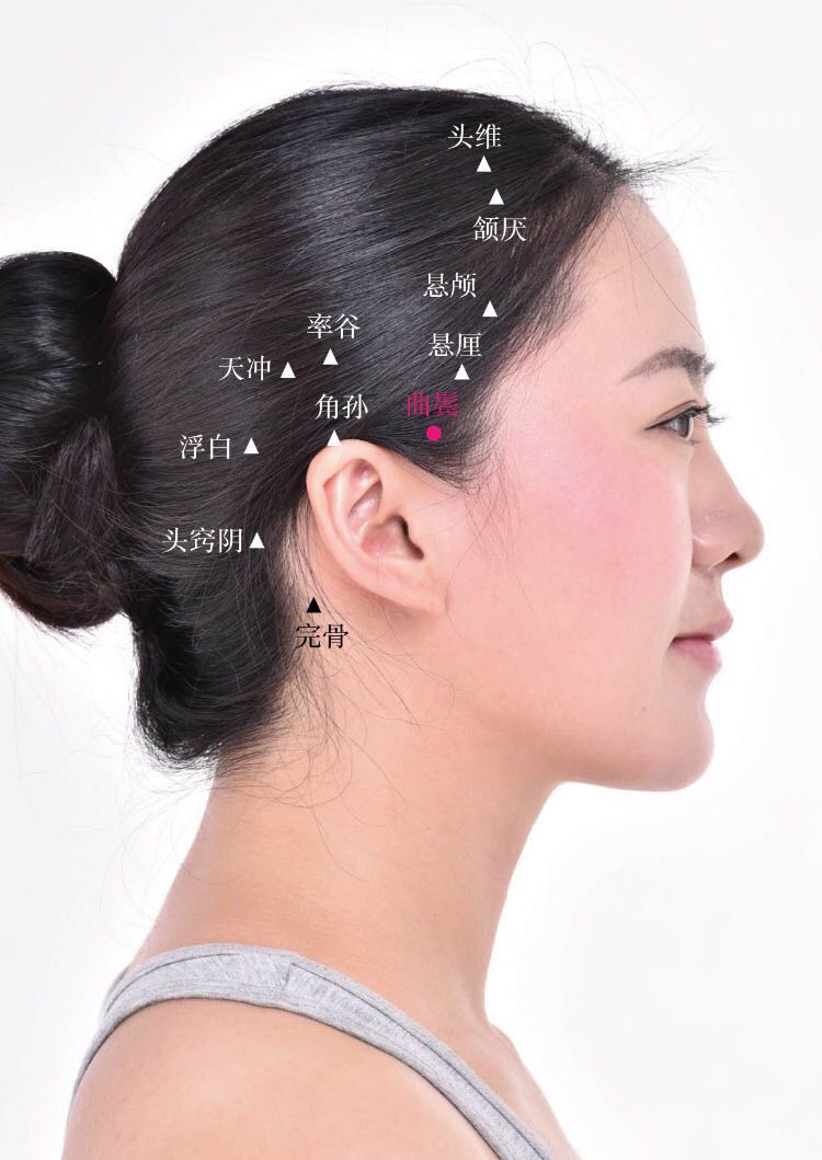 曲鬓的证治纲要与定位图解