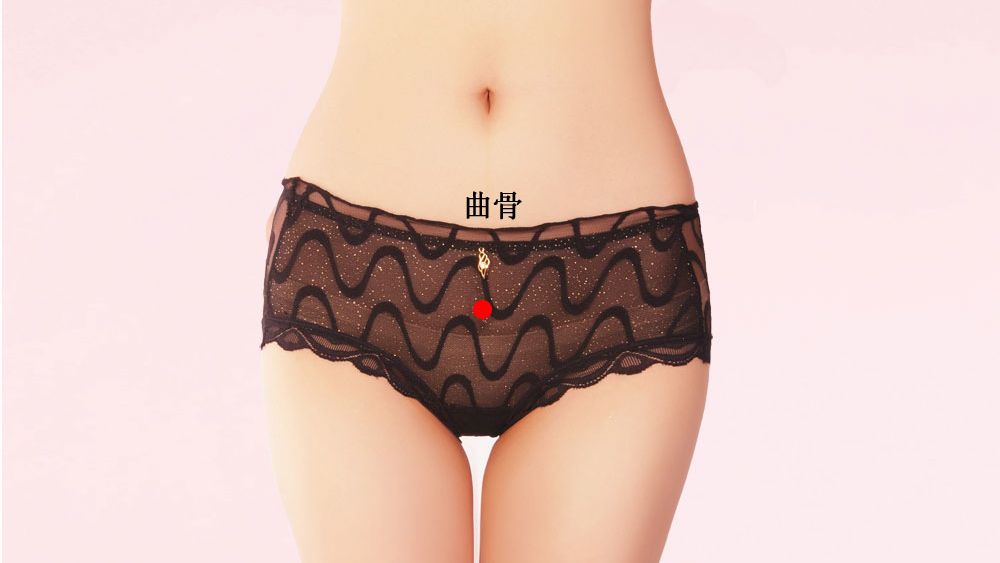 曲骨的证治纲要与定位图解